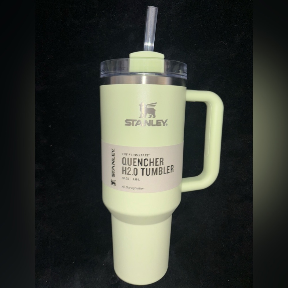 Stanley Light Green 40oz Tumbler Stainless Steel H2.0 Flowstate Quencher Tumbler
